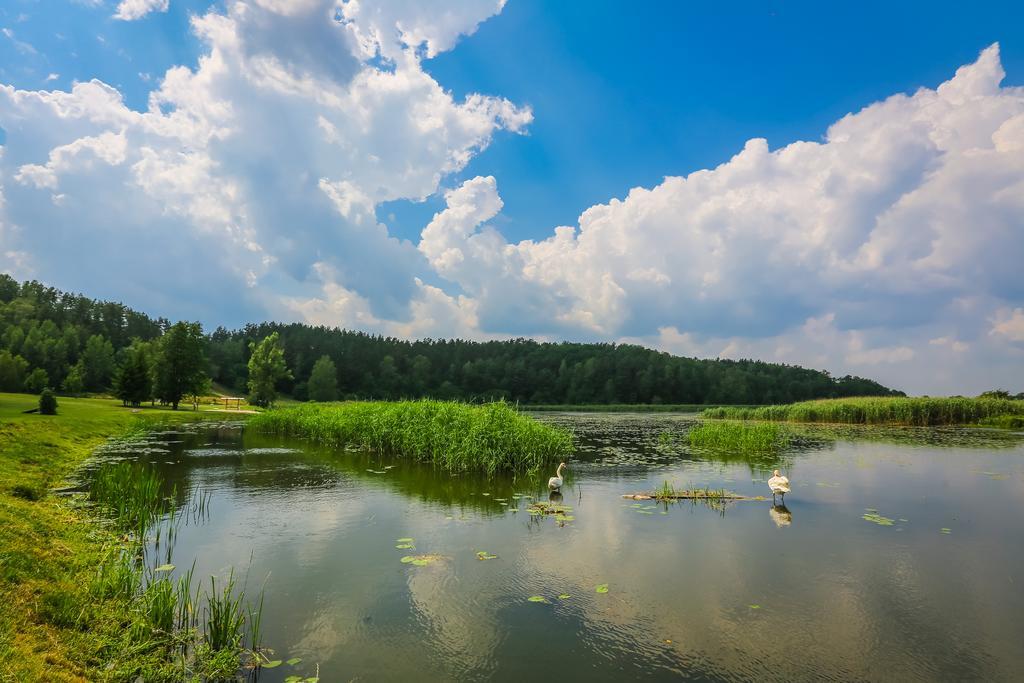 Warminska Winnica Barczewo Dış mekan fotoğraf